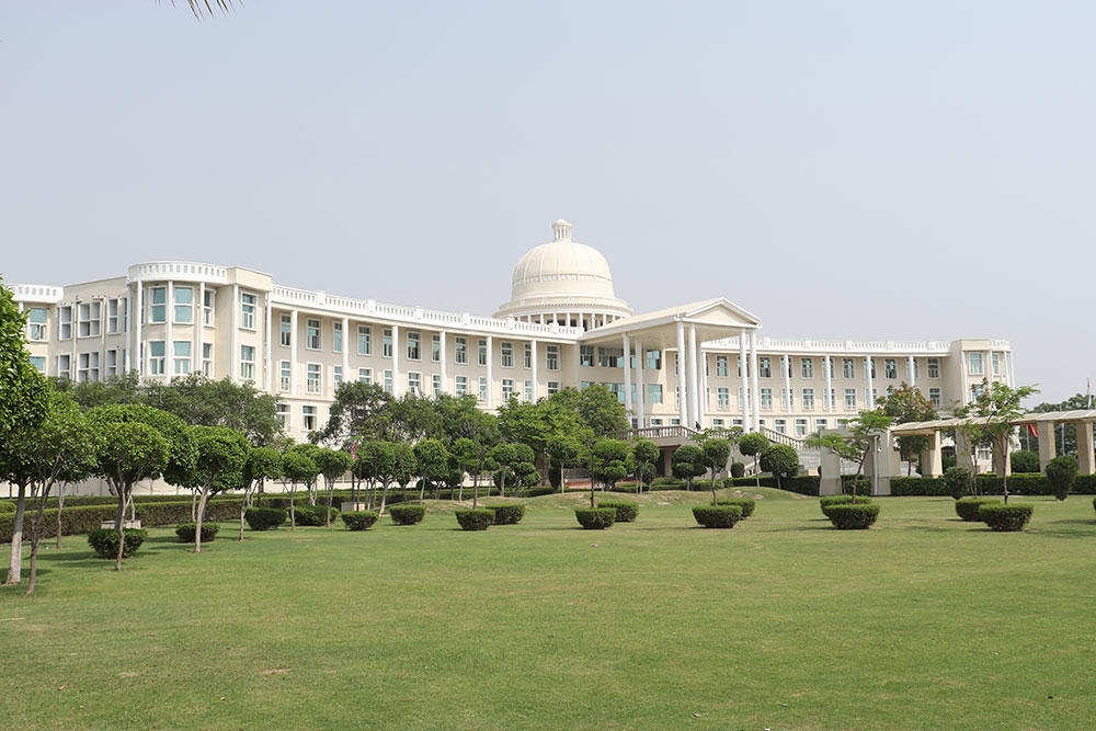 Noida International University Greater Noida — NAAC A++ affordable tuition Nigerian students
